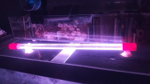 Đèn LED bể cá Xml Đỏ 50cm. Mua bán Phụ kiện, Thức ăn, Dịch vụ tại Quận 12 Tp Hồ Chí Minh được đăng bởi Cậu Hai Miền Tây hình 1