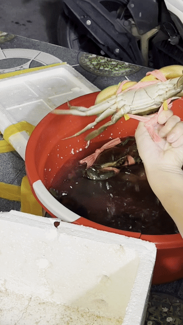 Cua Ngon Có Tiệm Cua Ly Lai. Mua bán Đồ ăn, thực phẩm và các loại khác tại Thành phố Thủ Dầu Một Bình Dương được đăng bởi Lê Phượng Hoàng Hải hình 1
