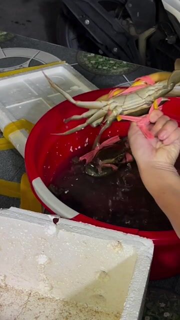 Cua Ngon Có Tiệm Cua Ly Lai. Mua bán Đồ ăn, thực phẩm và các loại khác tại Thành phố Thủ Dầu Một Bình Dương được đăng bởi Lê Phượng Hoàng Hải hình 1
