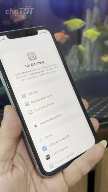 Apple iPhone 11 64GB Xanh quốc tế. Mua bán Điện thoại tại Quận 10 Tp Hồ Chí Minh được đăng bởi Thịnh hình 1