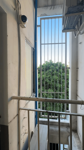 Cho thuê Căn hộ Chung cư Quận 11 Tp Hồ Chí Minh diện tích 30 m² giá 3,8 triệu/tháng