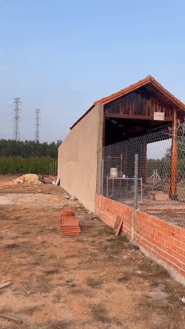 Cho thuê Nhà ở Thành phố Thủ Dầu Một Bình Dương diện tích 200 m² giá 3,5 triệu/tháng