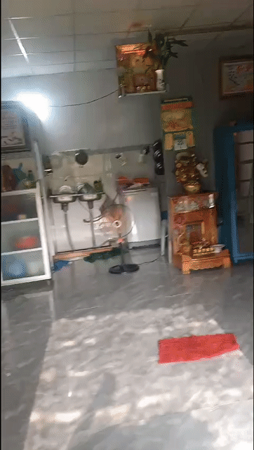 Mua bán Nhà ở Huyện Bình Chánh Tp Hồ Chí Minh diện tích 33 m² giá 380 triệu
