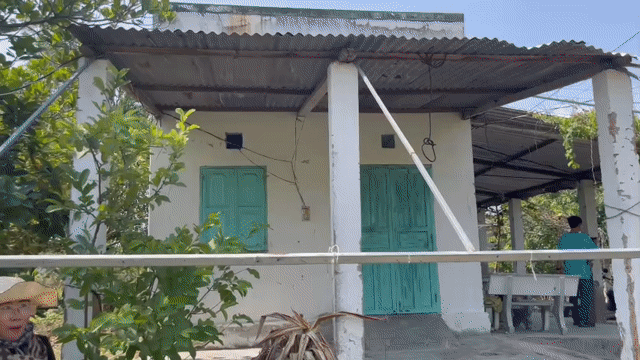 Mua bán Đất Huyện Bắc Bình Bình Thuận diện tích 30000 m² giá 3,6 tỷ