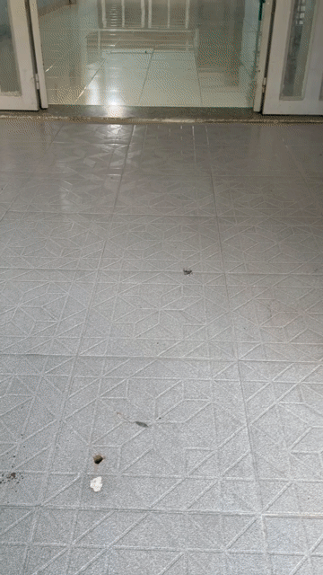 Cho thuê Văn phòng, Mặt bằng kinh doanh Huyện Hóc Môn Tp Hồ Chí Minh diện tích 80 m² giá 6,5 triệu/tháng