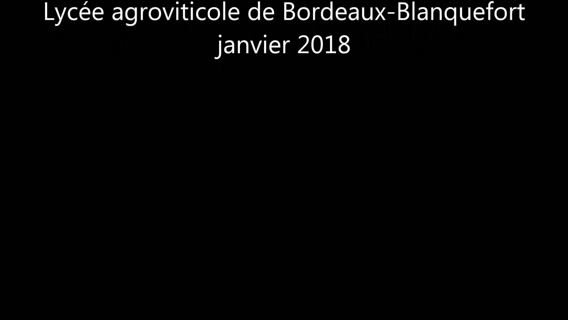 La pulvérisation en BTS Viticulture-Œnologie