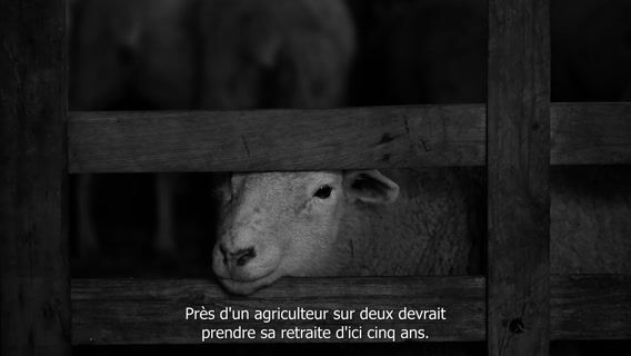 La nouvelle vague agricole