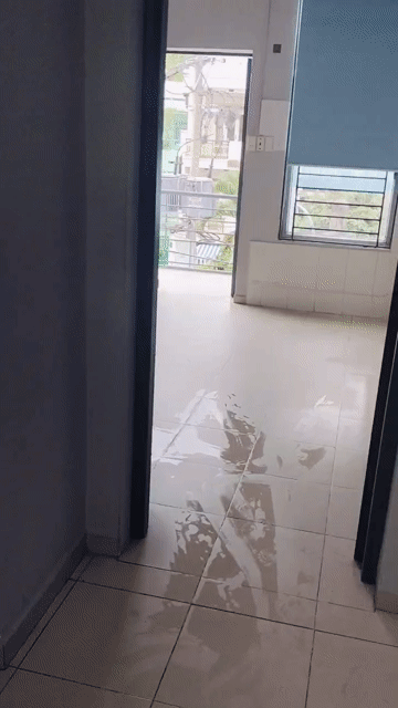 Cho thuê Căn hộ Chung cư Quận 6 Tp Hồ Chí Minh diện tích 35 m² giá 7 triệu/tháng