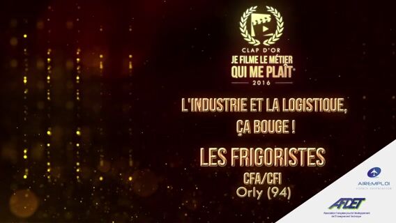 Les frigoristes