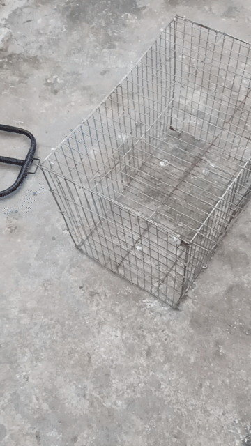 Lồng thú cưng các loại,xe đẩy. Mua bán Phụ kiện, Thức ăn, Dịch vụ tại Quận Hoàng Mai Hà Nội được đăng bởi LAM hình 1