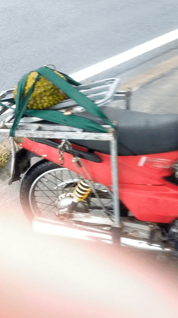 Xe máy màu Đỏ. Mua bán Xe máy tại Quận Tân Phú Tp Hồ Chí Minh được đăng bởi Quý Lê quang hình 1