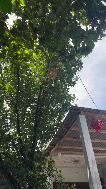 Lồng chim Trúc già Vuông Nâu gỗ. Mua bán Phụ kiện, Thức ăn, Dịch vụ tại Quận Hải Châu Đà Nẵng được đăng bởi Đặng Công Sĩ hình 1