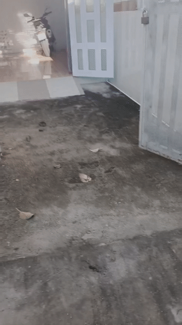 Cho thuê Nhà ở Thành phố Bến Tre Bến Tre diện tích 150 m² giá 5 triệu/tháng