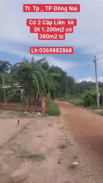 Mua bán Đất Huyện Đồng Phú Bình Phước diện tích 900 m² giá 450 triệu