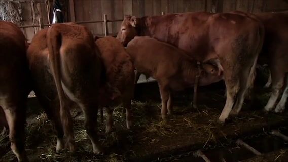 La vie à la ferme - Machinisme et élevage