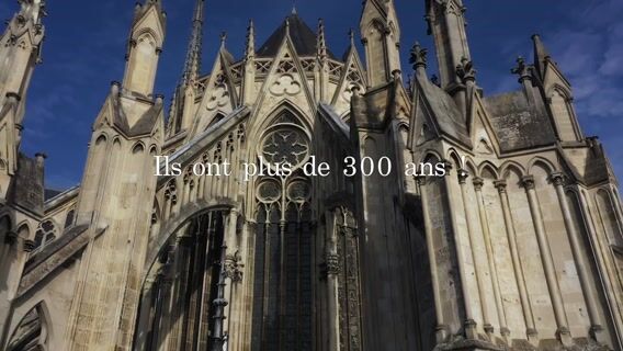 Ils ont plus de 300 ans !