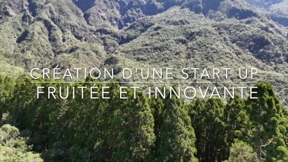 Création d'une start up fruitée et innovante