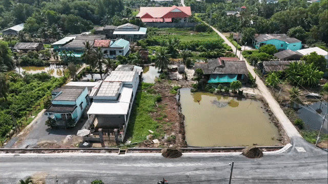 Mua bán Đất Huyện Tân Trụ Long An diện tích 259 m² giá 1,5 tỷ