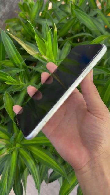 Apple iPhone 11 Trắng Full Chức Năng 64gb. Mua bán Điện thoại tại Quận Thanh Khê Đà Nẵng được đăng bởi NOBI STORE 263 thái thị bôi hình 1