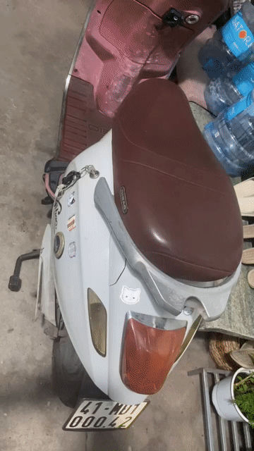 Xe máy điện Dibao Vespa Trắng. Mua bán Xe máy tại Quận Tân Bình Tp Hồ Chí Minh được đăng bởi The Powerpuff Girl hình 1