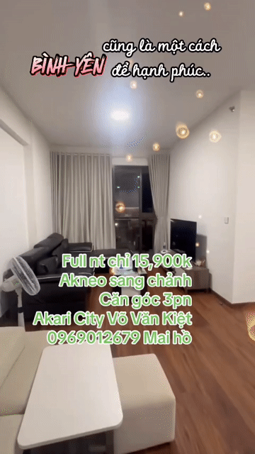 Cho thuê Căn hộ Chung cư Akari City Quận Bình Tân Tp Hồ Chí Minh diện tích 99 m² giá 15,9 triệu/tháng