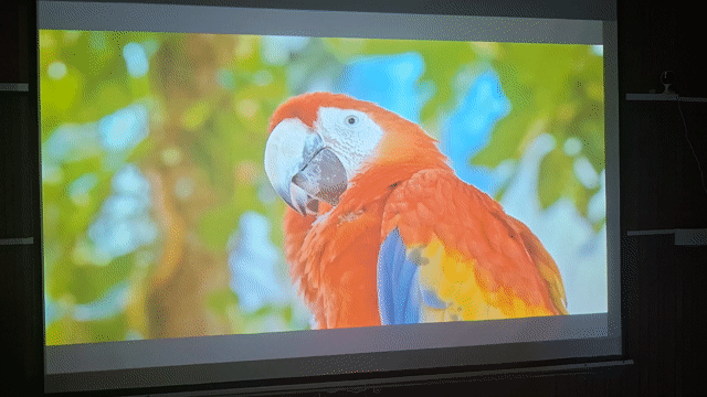 Máy chiếu Sony VPL CH 370 3LCD 5000 ansi lumen. Mua bán Đồ dùng văn phòng tại Thành phố Nha Trang Khánh Hòa được đăng bởi Nguyễn tấn trí hình 1