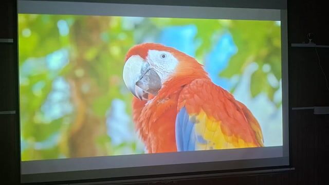 Máy chiếu Sony VPL CH 370 3LCD 5000 ansi lumen. Mua bán Đồ dùng văn phòng tại Thành phố Nha Trang Khánh Hòa được đăng bởi Nguyễn tấn trí hình 1