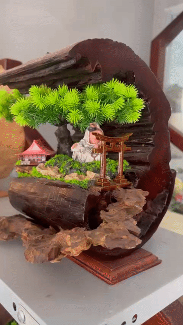 Tiểu cảnh Gỗ trang trí nhà cửa. Mua bán Cây cảnh, đồ trang trí tại Quận Tân Phú Tp Hồ Chí Minh được đăng bởi A Xìn hình 1