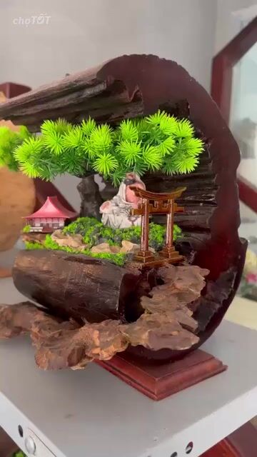 Tiểu cảnh Gỗ trang trí nhà cửa. Mua bán Cây cảnh, đồ trang trí tại Quận Tân Phú Tp Hồ Chí Minh được đăng bởi A Xìn hình 1