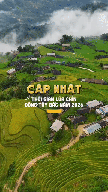 Tour Mù Cang Chải 2N1Đ Săn lúa Tây Bắc. Du lịch tại Quận Hoàng Mai Hà Nội được đăng bởi Minh Phạm hình 1