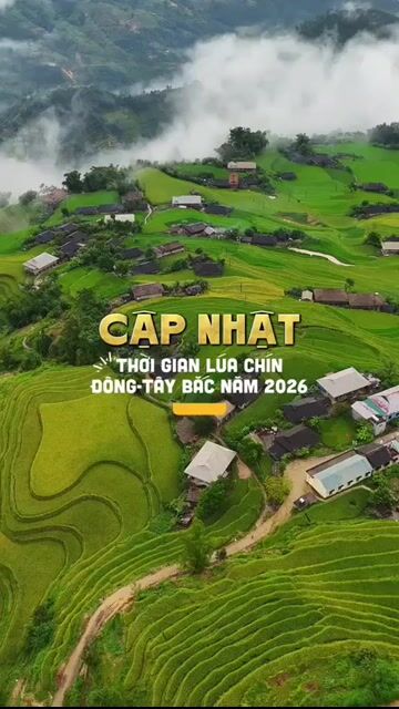 Tour Mù Cang Chải 2N1Đ Săn lúa Tây Bắc. Du lịch tại Quận Hoàng Mai Hà Nội được đăng bởi Minh Phạm hình 1