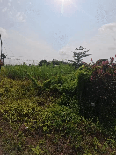 Mua bán Đất Huyện Châu Đức Bà Rịa - Vũng Tàu diện tích 1500 m² giá 4,5 tỷ