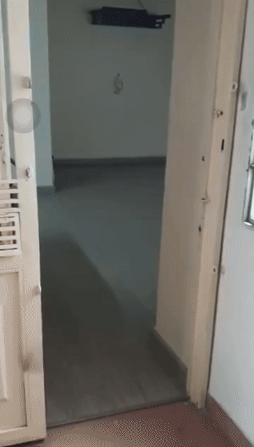 Cho thuê Căn hộ Chung cư Chung Cư 109 Nguyễn Biểu Quận 5 Tp Hồ Chí Minh diện tích 55 m² giá 10 triệu/tháng