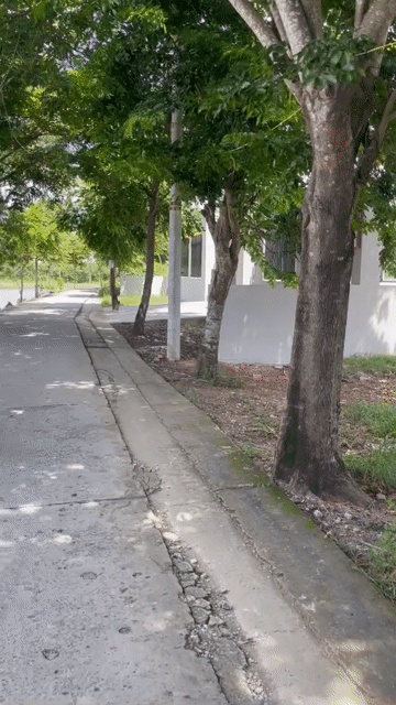 Mua bán Đất Huyện Bình Chánh Tp Hồ Chí Minh diện tích 1000 m² giá 8 tỷ