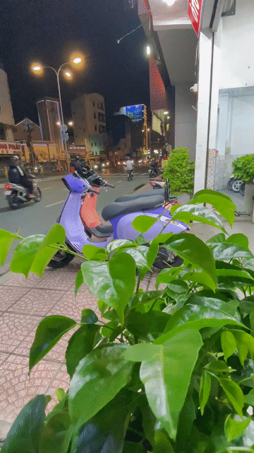 Piaggio Vespa Sprint Hồng Tím. Mua bán Xe máy tại Quận Phú Nhuận Tp Hồ Chí Minh được đăng bởi DŨNG HOÀNG  hình 1
