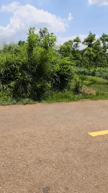 Mua bán Đất Huyện Phú Giáo Bình Dương diện tích 15600 m² giá 27,3 tỷ
