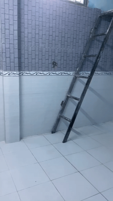 Cho thuê Phòng trọ Thành phố Thuận An Bình Dương diện tích 22 m² giá 1,3 triệu/tháng