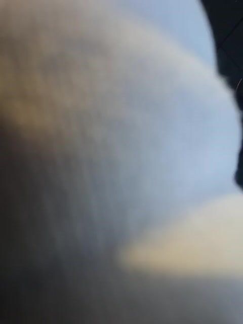 Model - TonyCollins dom