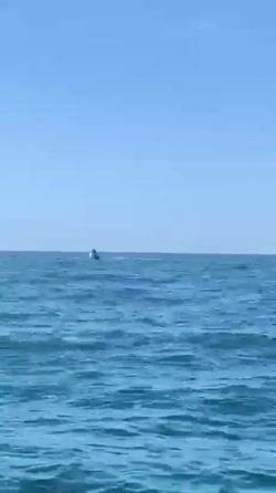 Inshore Fishing Tour
