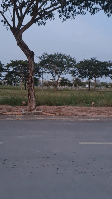 Mua bán Đất Garden Riverside Huyện Thủ Thừa Long An diện tích 85 m² giá 1,5 tỷ