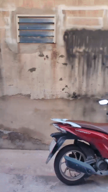 Cho thuê Nhà ở Huyện Hóc Môn Tp Hồ Chí Minh diện tích 48 m² giá 5,5 triệu/tháng