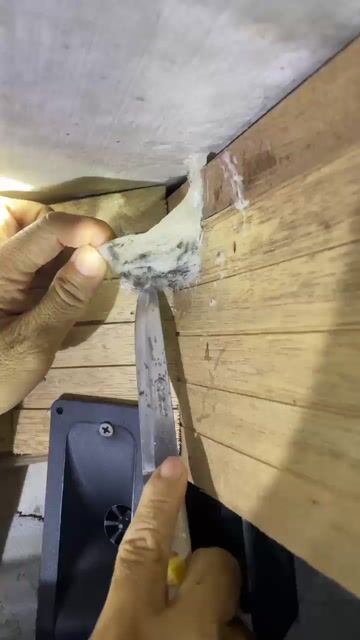 Yến nhà nuôi - Thu hoạch mỗi tuần. Mua bán Đồ ăn, thực phẩm và các loại khác tại Quận 7 Tp Hồ Chí Minh được đăng bởi Tran Do  hình 1