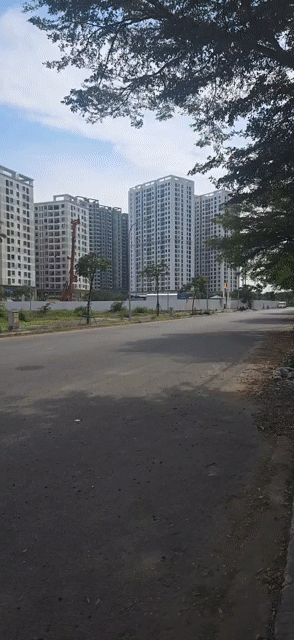 Cho thuê Căn hộ Chung cư FPT Plaza 2 Quận Ngũ Hành Sơn Đà Nẵng diện tích 45 m² giá 6,5 triệu/tháng