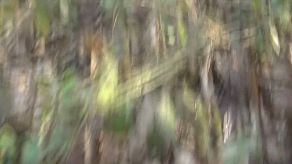 Rendez-vous en métier inconnu