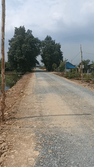 Mua bán Đất Huyện Bình Chánh Tp Hồ Chí Minh diện tích 2000 m² giá 5,25 tỷ