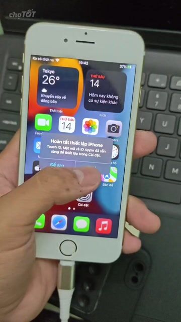Apple iPhone 6s 64GB Vàng Like New. Mua bán Điện thoại tại Quận 1 Tp Hồ Chí Minh được đăng bởi Gia Bao hình 1