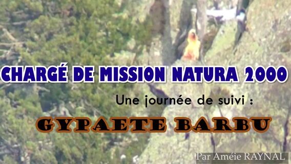 Une journée de suivi de Gypaète Barbu - Chargé de mission Natura 2000