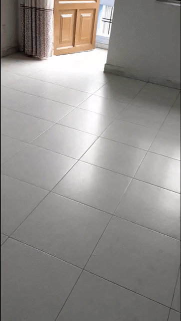 Cho thuê Phòng trọ Quận Gò Vấp Tp Hồ Chí Minh diện tích 15 m² giá 2,5 triệu/tháng