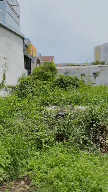 Mua bán Đất Quận 8 Tp Hồ Chí Minh diện tích 100 m² giá 5,8 tỷ