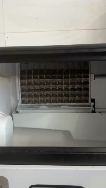 Máy làm đá TAKAIPRO Trắng Đã sử dụng. Mua bán Đồ chuyên dụng, Giống nuôi trồng tại Huyện Hóc Môn Tp Hồ Chí Minh được đăng bởi long hình 1